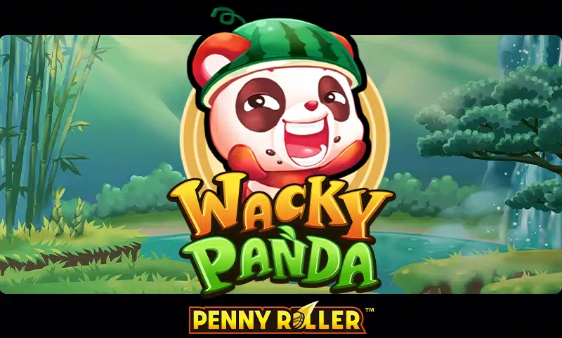 Wacky Panda gameplay screenshot 1